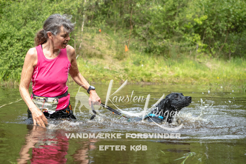 1036DKK993316 | kk-dogfotos