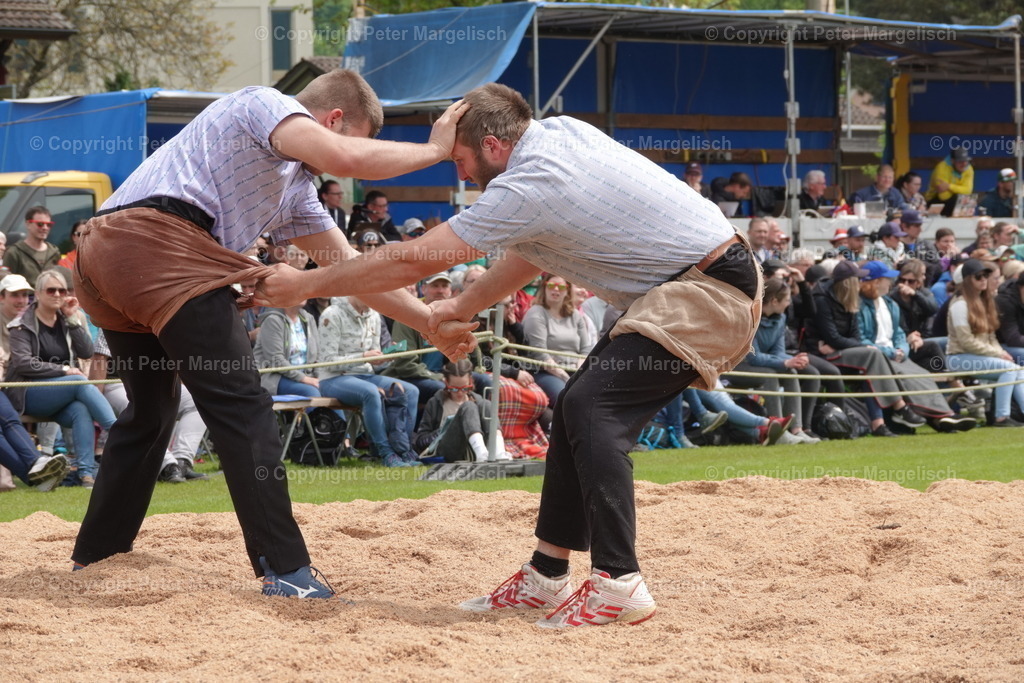 DSC04102 | Schwingen - Realisiert mit Pictrs.com