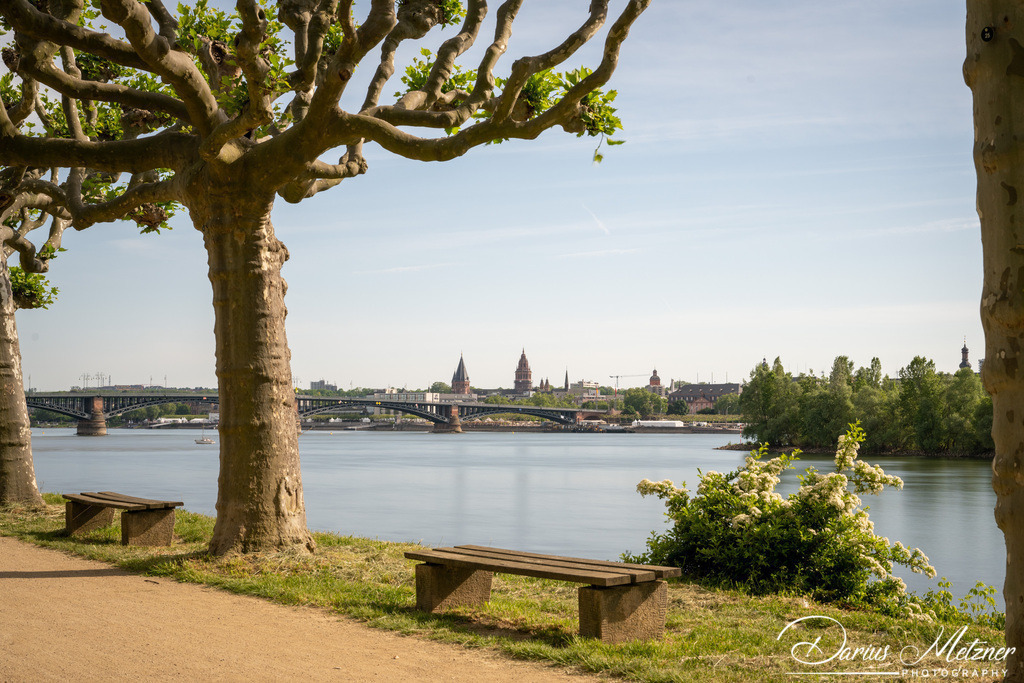_DSC0010 | Fotografien, Fotos und Bilder aus Mainz, Frankfurt, Wiesbaden und anderen Orten auf der Welt - Fotografiert von Darius Metzner