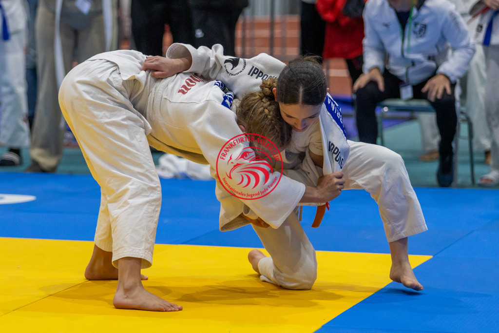 Internationaler Adler Cup 2024 | Foto vom Internationalen Adler Cup Judo Turnier im Sport- und Freizeitzentrum Kalbach im Oktober 2024 - Realisiert mit Pictrs.com