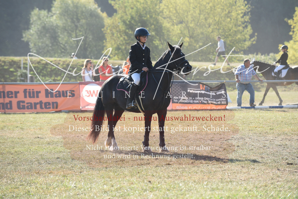 DSC_5745 | Pferde- und Turnierfotografie in Westsachsen. Pferdeportraits, Auftragszeichnungen und intuitive Kunst.