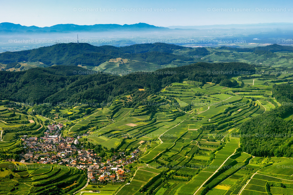 2700036 | Kiechlinsbergen am Kaiserstuhl