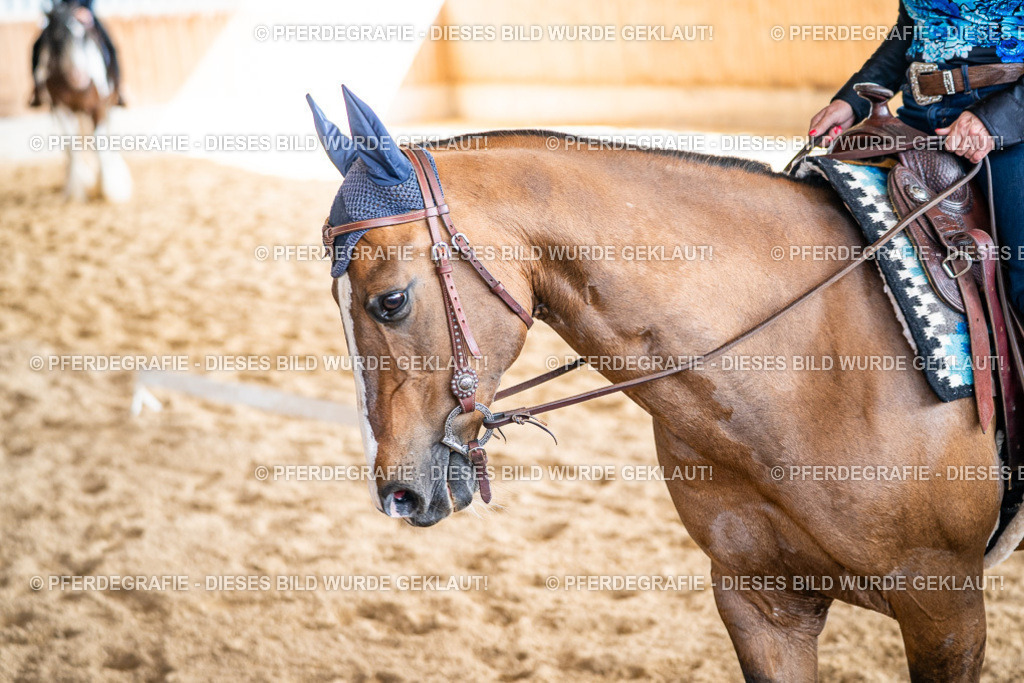 DSC09338 | Pferdegrafie