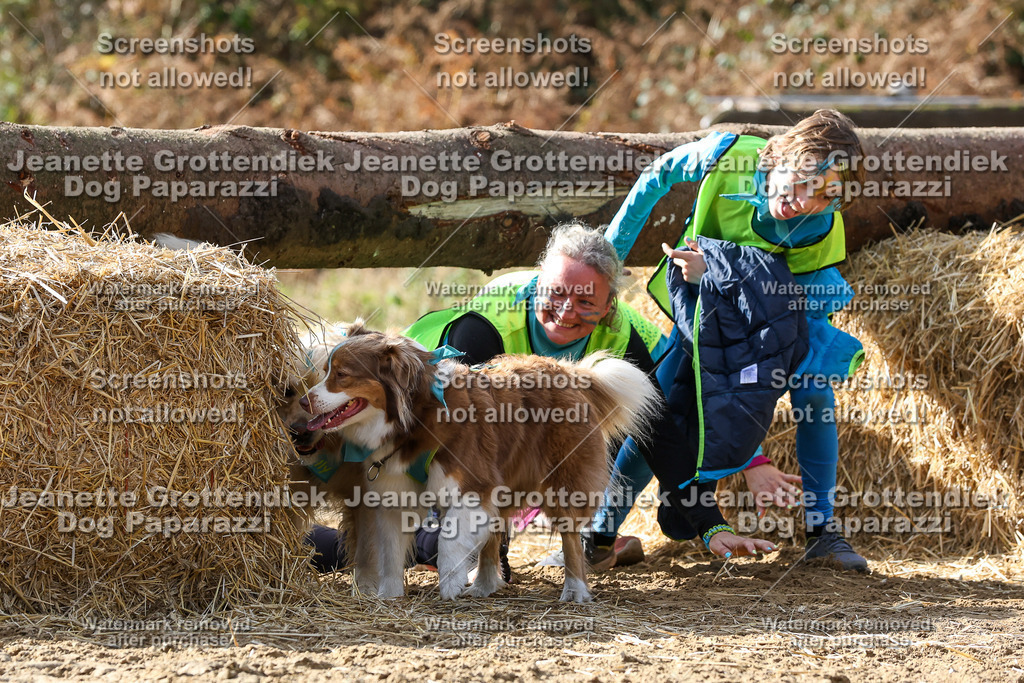 Dog Paparazzi - Strongdog 10-25-5584 | Dog Paparazzi Jeanette Grottendiek Fotografie & Videografie - Realisiert mit Pictrs.com