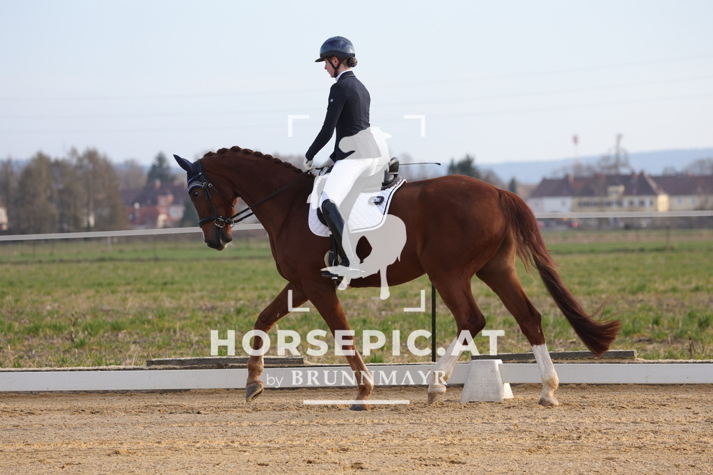 0P6A5917 | Willkommen bei Brunnmayr - Design & Fotografie – Ihrem Spezialisten für Reitturniere und Pferdeveranstaltungen in Oberösterreich, Salzburg und Bayern! Seit über 17 Jahren sind wir leidenschaftlich dabei.