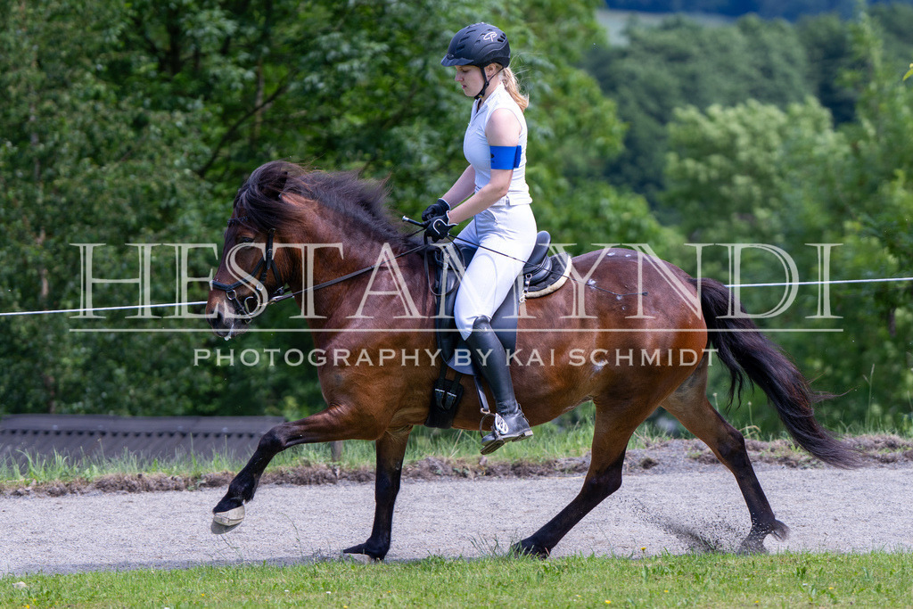 KAI02570 | Ihr sucht einen Fotografen für eure nächste OSI? Ich begleite auch euer Turnier für Islandpferde fotografisch.  - Realisiert mit Pictrs.com