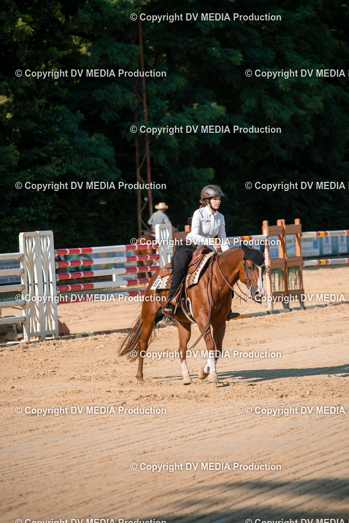 ZS2_8830 | dv-media-shop - Realisiert mit Pictrs.com