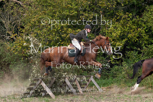 09-23 Jagd Perdöl_MCH9755_Marina Hewig | Fotografie, FotoArt, PferdesportArt, Pferdesportfotografie, Landschaftsfotografie, Reisefotografie, Reise, Pferde - Realisiert mit Pictrs.com