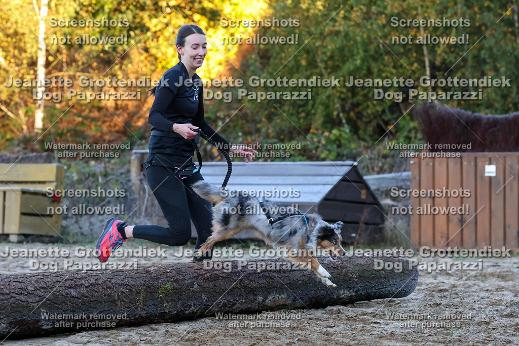 Dog Paparazzi - Strongdog 10-25-392 | Dog Paparazzi Jeanette Grottendiek Fotografie & Videografie - Realisiert mit Pictrs.com