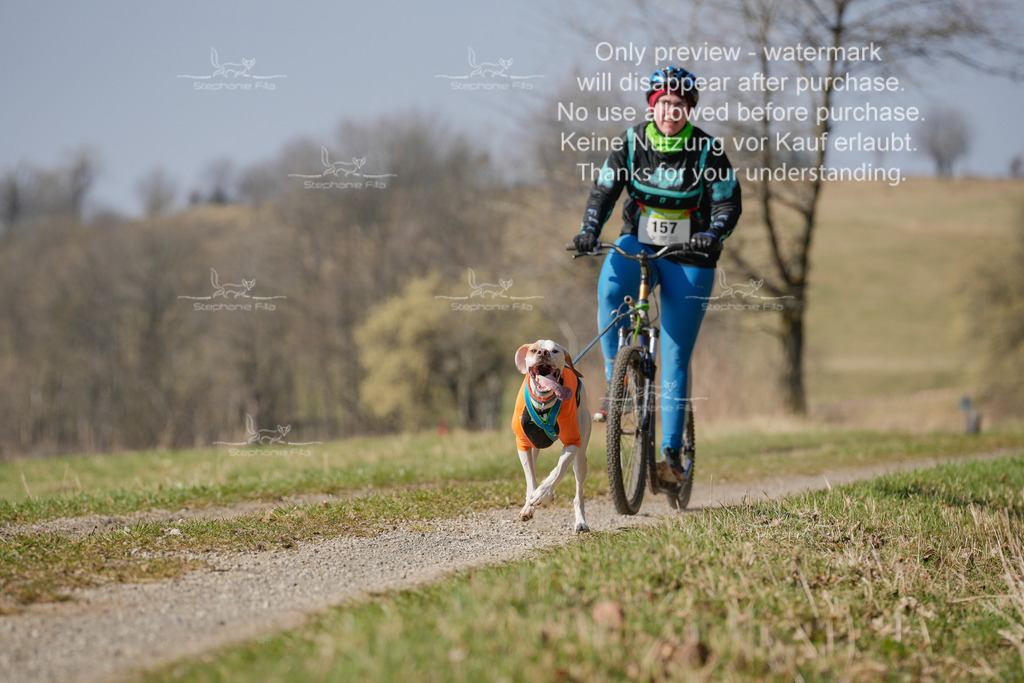 Scooter_Lang-115 | stephaniefillaphotographie - Realisiert mit Pictrs.com