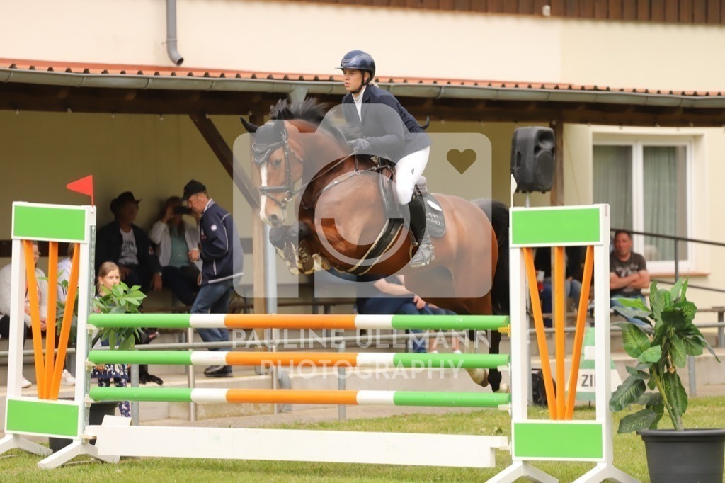 IMG_7584 | Pauline Ullmann Photography - Realisiert mit Pictrs.com