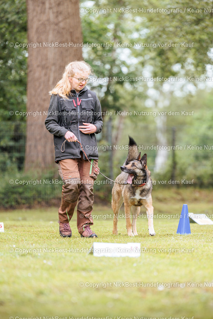 RO-Blumenthal-2026-Nickbest-Hundefotografie-4984 | Dein Hund! Dein Moment! Deine Erinnerungen! Hundefotografie in Bremen Blumenthal. Ich fange die besonderen Momente deines Vierbeiners ein – ob Indoor mit Blitzanlage oder in der freien Natur. Sicher dir dein Moment und dein Termin für eure Erinnerungen.