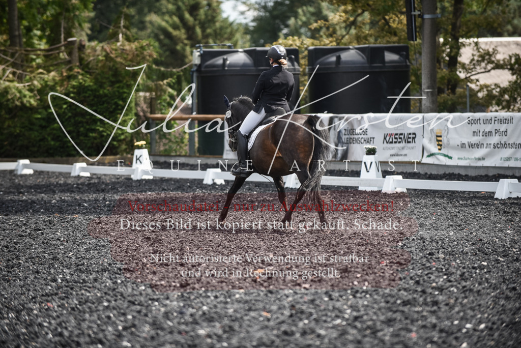 DSC_5103 | Pferde- und Turnierfotografie in Westsachsen. Pferdeportraits, Auftragszeichnungen und intuitive Kunst.