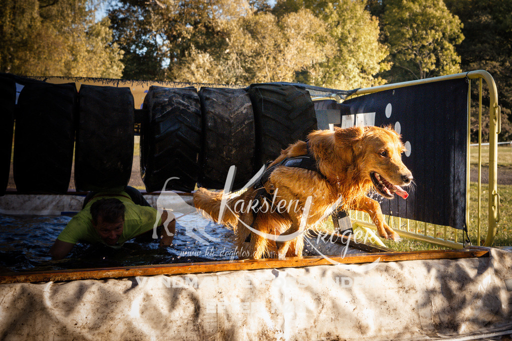 0934_ZZ91344 | kk-dogfotos