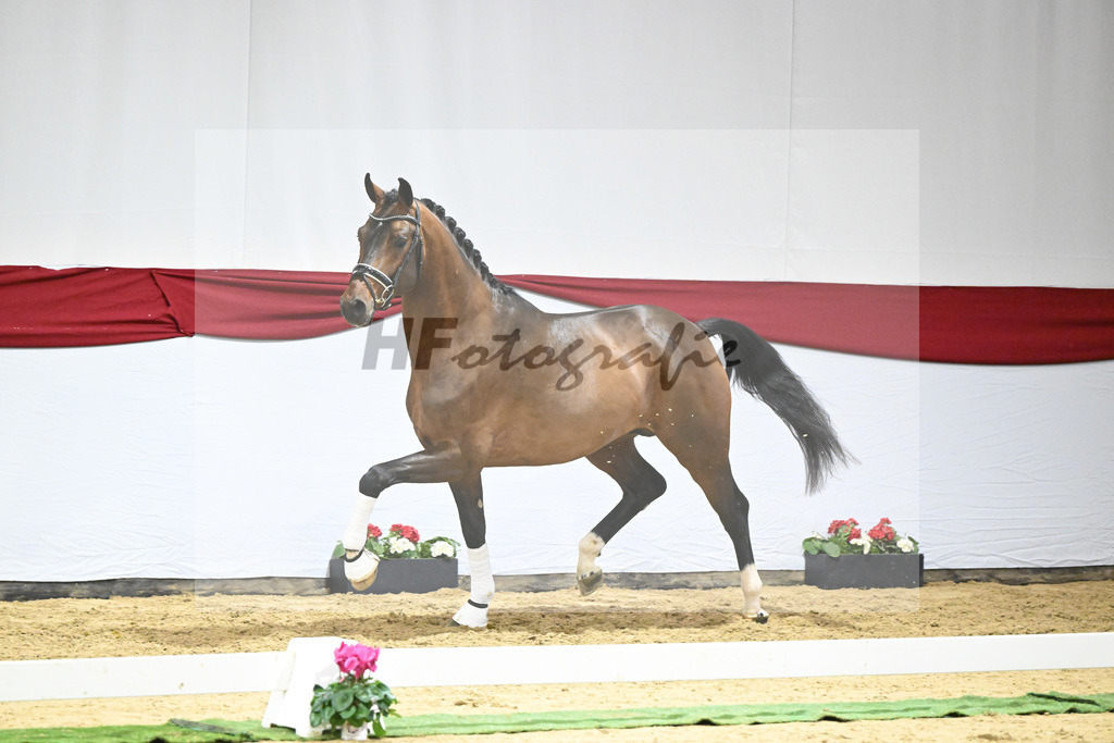 Kat-Nr. 60 v. Valverde_Schoenland_63221822 | hf-fotografie - Realizzato con Pictrs.com