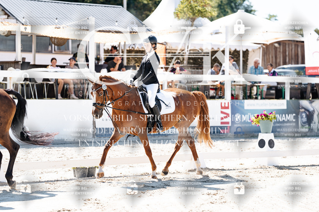 CK902259 | Turnierfotografie Pferdefotografie Trier Rheinland-Pfalz Pferdesport Reitsport Tierfotografie Sportfotografie Pferdevideo Pferdevideografie Equestrianvideography equestrianphotography  - Realisiert mit Pictrs.com