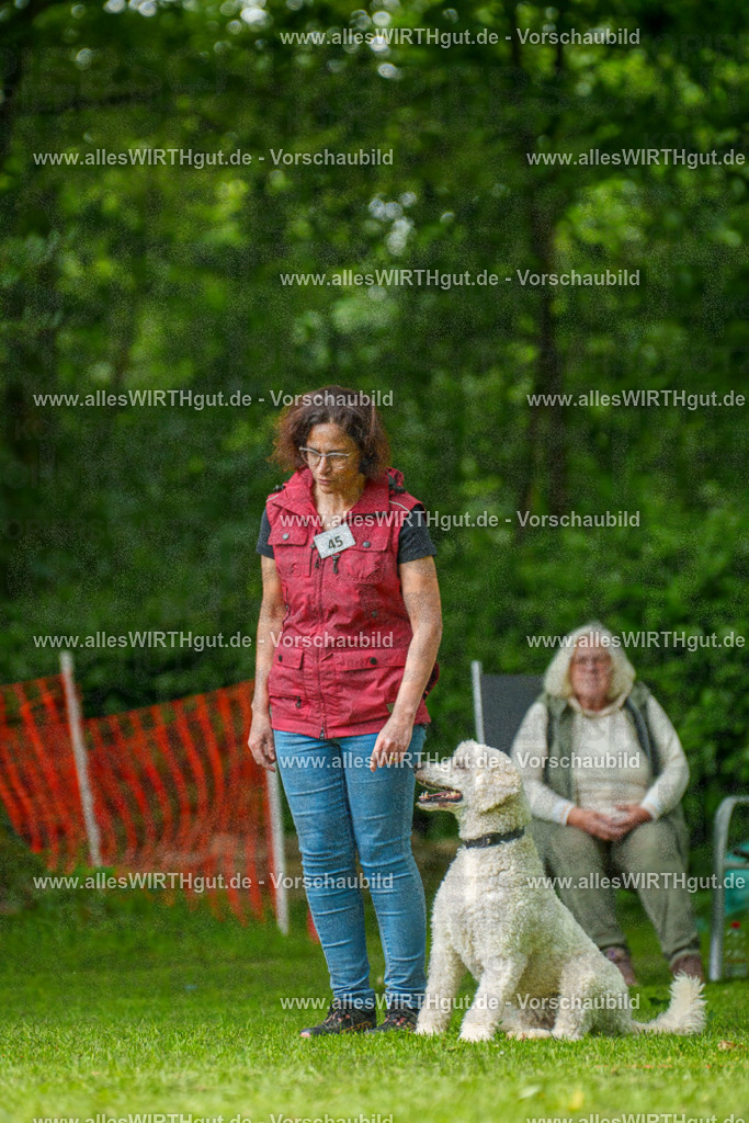 @allesWIRTHgut_Tierfotografie - www.allesWIRTHgut.de - 7R505176 | Professionelle Tierfotografie in Mönchengladbach von Daniel Wirth (allesWIRTHgut). Liebevolle & natürliche Bilder von Hunden & Katzen für unvergessliche Erinnerungen.