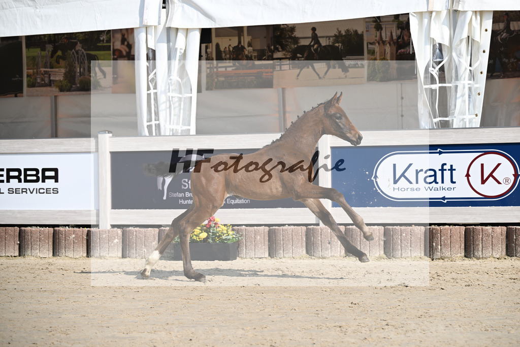 Sane x Fuerst Romancier_SF_Fritz_12250078 | hf-fotografie - Realisiert mit Pictrs.com