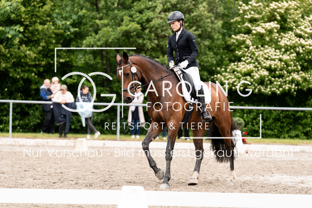 DSC08106 | Carolin Gieschke