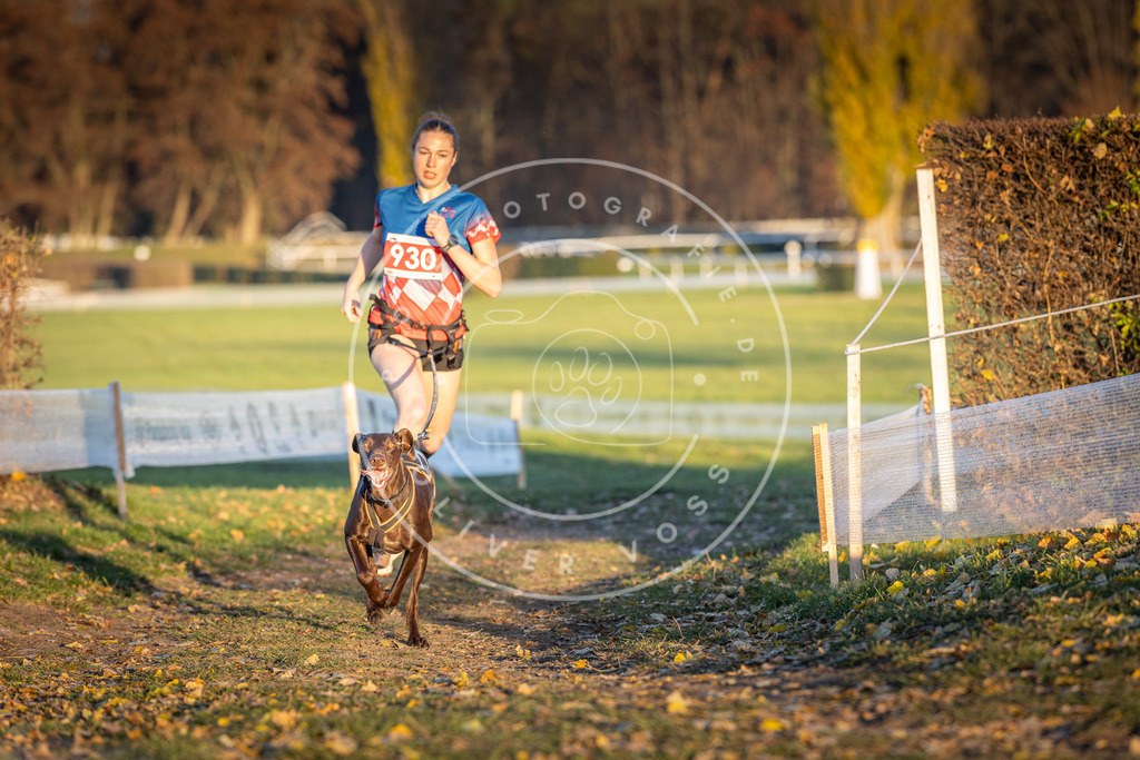 CaniXpix_DV3A5132 | Hundefotografie, Tierfotograf, Pfotenfotografie, Fotoshooting Hund, Hunde Portrait, Hundesport, Hundeportraits, Heideshooting, Hunde, Sportfotograf, Hundefotograf, Turnierhundsport, THS,  - Realisiert mit Pictrs.com