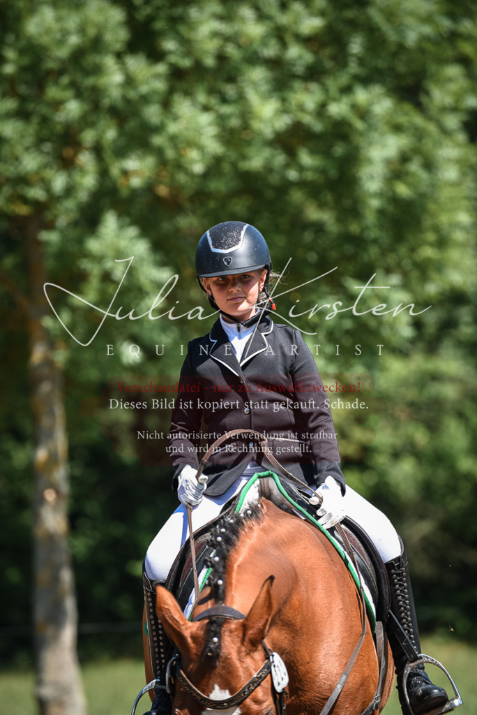 DSC_3465 | Pferde- und Turnierfotografie in Westsachsen. Pferdeportraits, Auftragszeichnungen und intuitive Kunst.