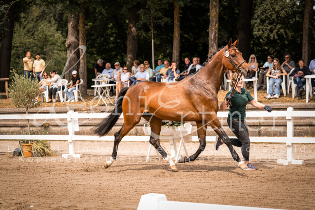 4.Fr00093 | Leoni Ertmer Photography - Realisiert mit Pictrs.com