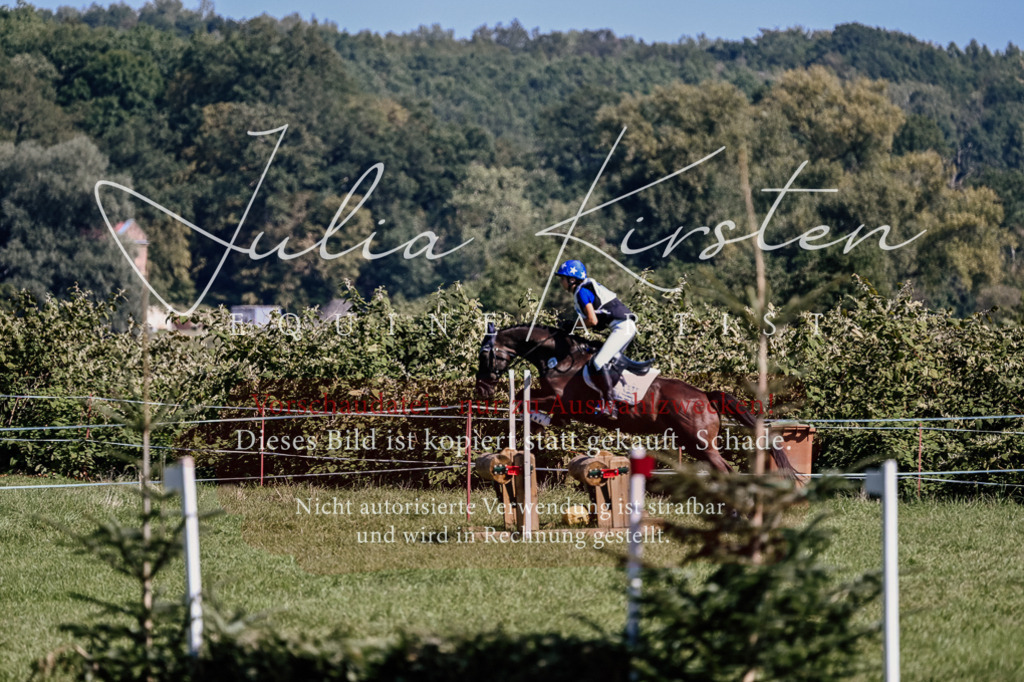 DSC_1674 | Pferde- und Turnierfotografie in Westsachsen. Pferdeportraits, Auftragszeichnungen und intuitive Kunst.