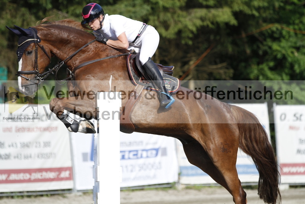 _MG_1259 | equestrian-live-com