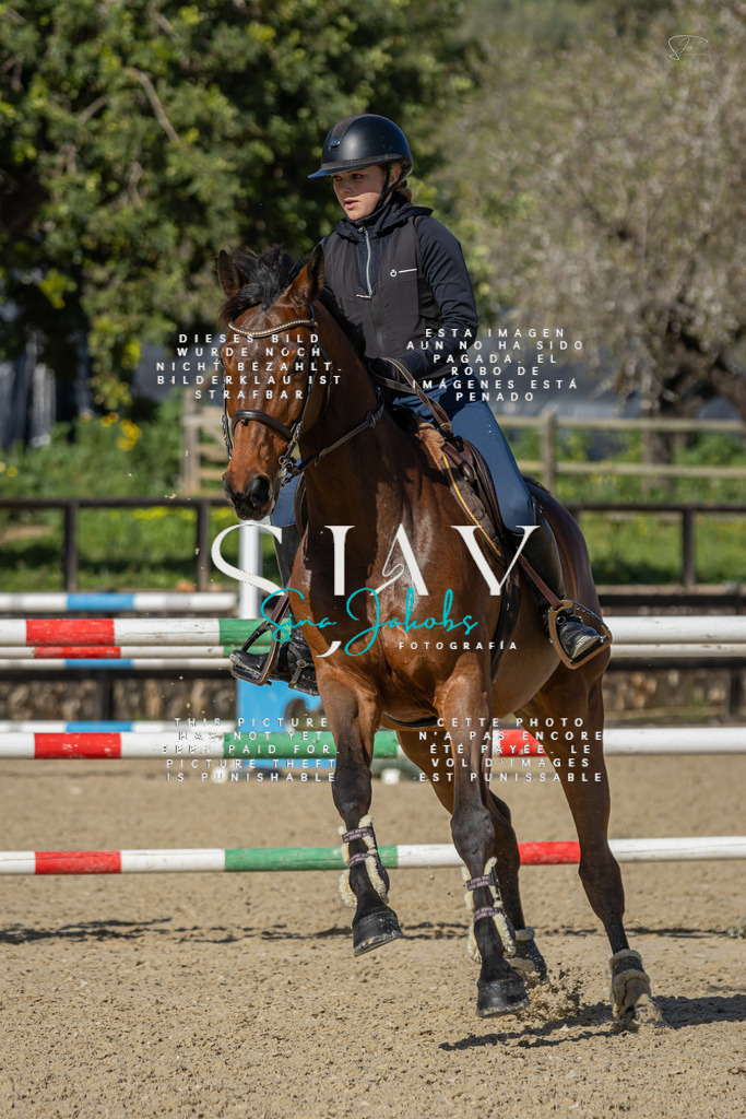 IMG_6799 | s-jay-photography - Realisiert mit Pictrs.com