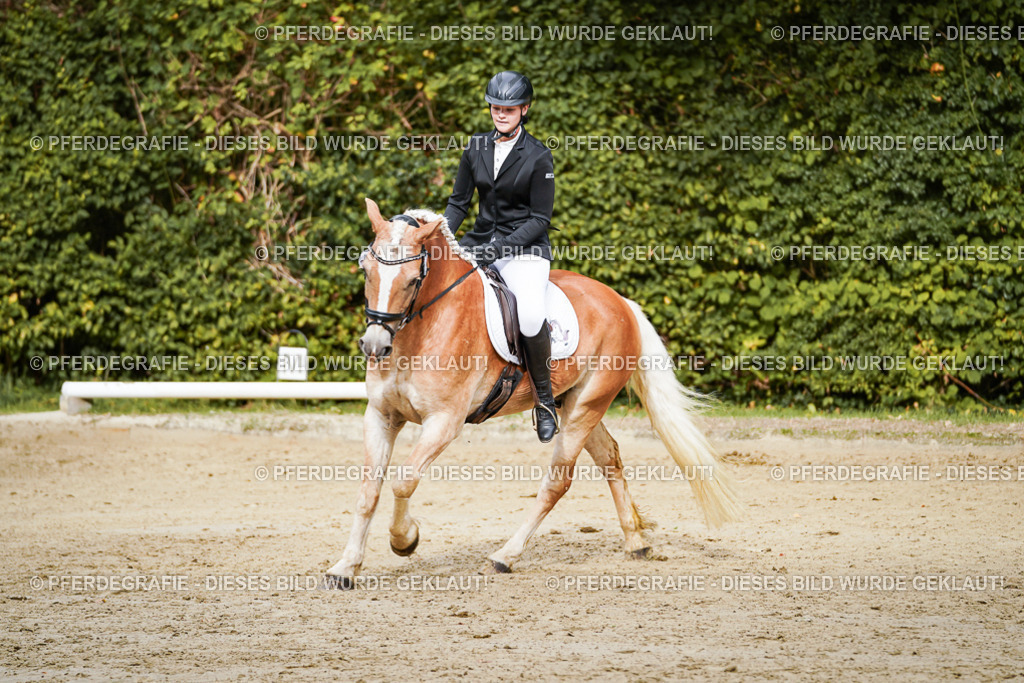 DSC09947 | Pferdegrafie