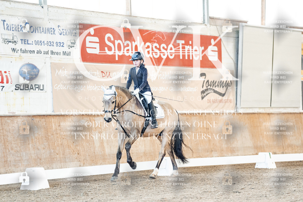 CK907419 | Turnierfotografie Pferdefotografie Trier Rheinland-Pfalz Pferdesport Reitsport Tierfotografie Sportfotografie Pferdevideo Pferdevideografie Equestrianvideography equestrianphotography  - Realisiert mit Pictrs.com