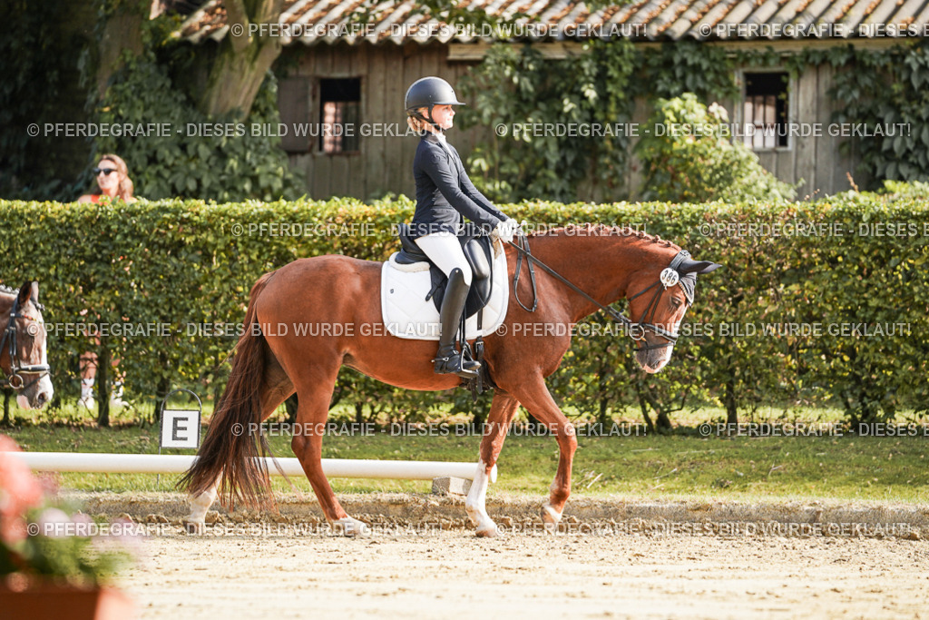 DSC05833 | Pferdegrafie