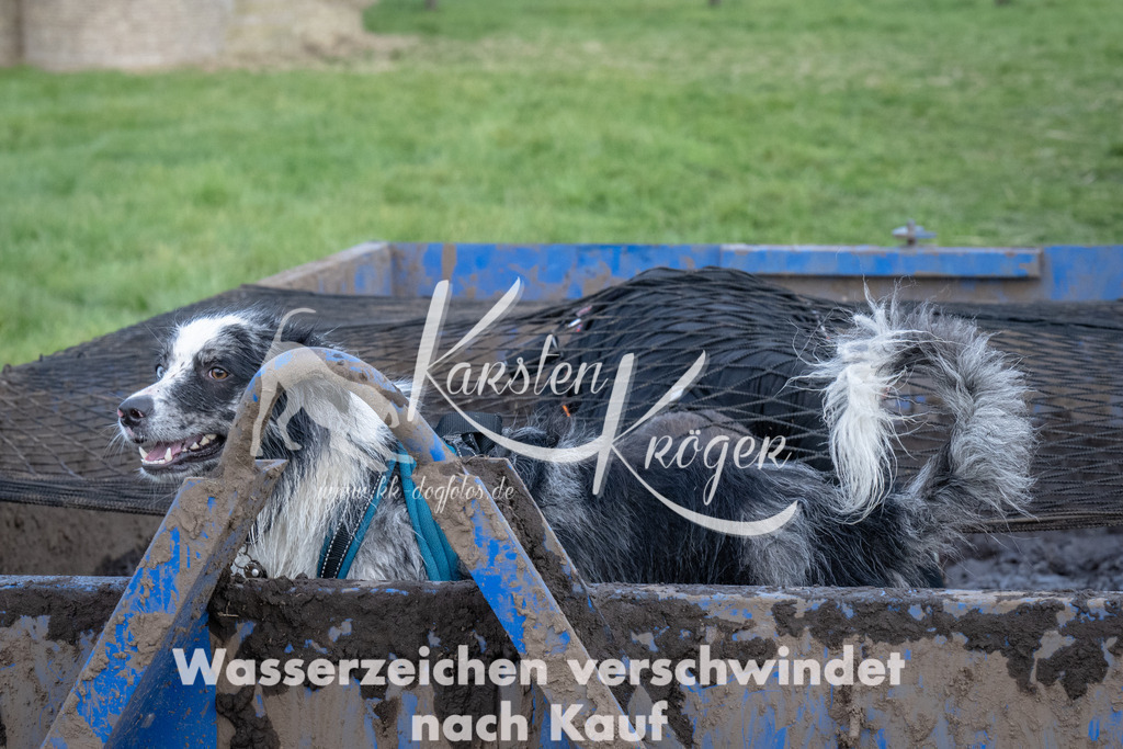 1624_ZZ92461 | kk-dogfotos