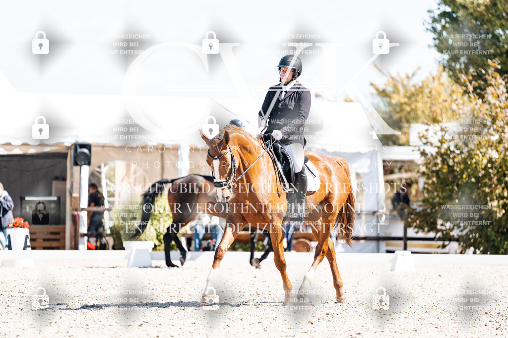 CK903278 | Turnierfotografie Pferdefotografie Trier Rheinland-Pfalz Pferdesport Reitsport Tierfotografie Sportfotografie Pferdevideo Pferdevideografie Equestrianvideography equestrianphotography  - Realisiert mit Pictrs.com