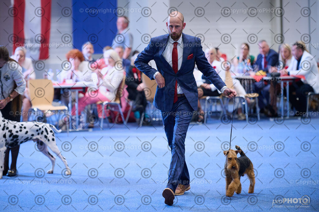 202406_ÖKV-IHA-Tulln24_DSC_4415 | proPHOTO - Realisiert mit Pictrs.com