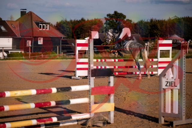 2026_10_03_Siefer-Hof_171420_Z81_11748313 | Professionelle Reitsport-, Turnier- und Eventfotografie von Robert Broda. Galerien mit ausgewählten und bearbeiteten Bildern direkt online ansehen und bestellen.