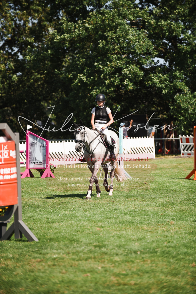 DSC_2914 | Pferde- und Turnierfotografie in Westsachsen. Pferdeportraits, Auftragszeichnungen und intuitive Kunst.