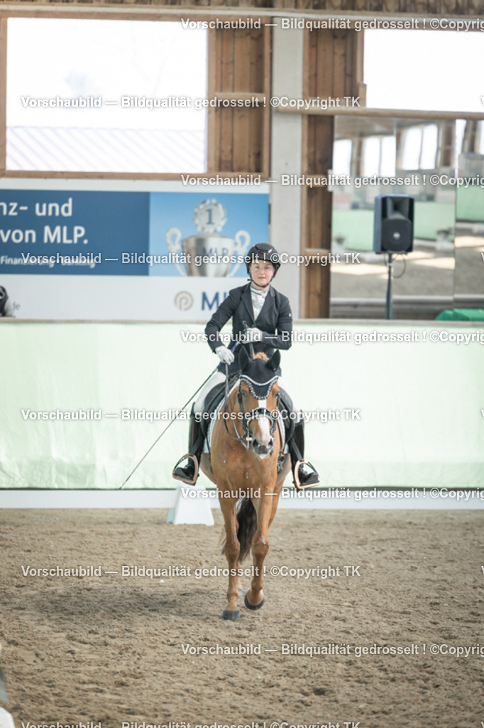 _D5A2602 | Emotionale Pferde- & People-Fotografie rund um Heidelberg, Leimen & Umgebung. Natürliche Fotos von Pferd, Mensch & Familie. Jetzt Termin sichern!