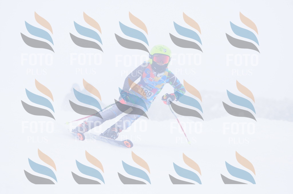 C2140 | holidayphoto