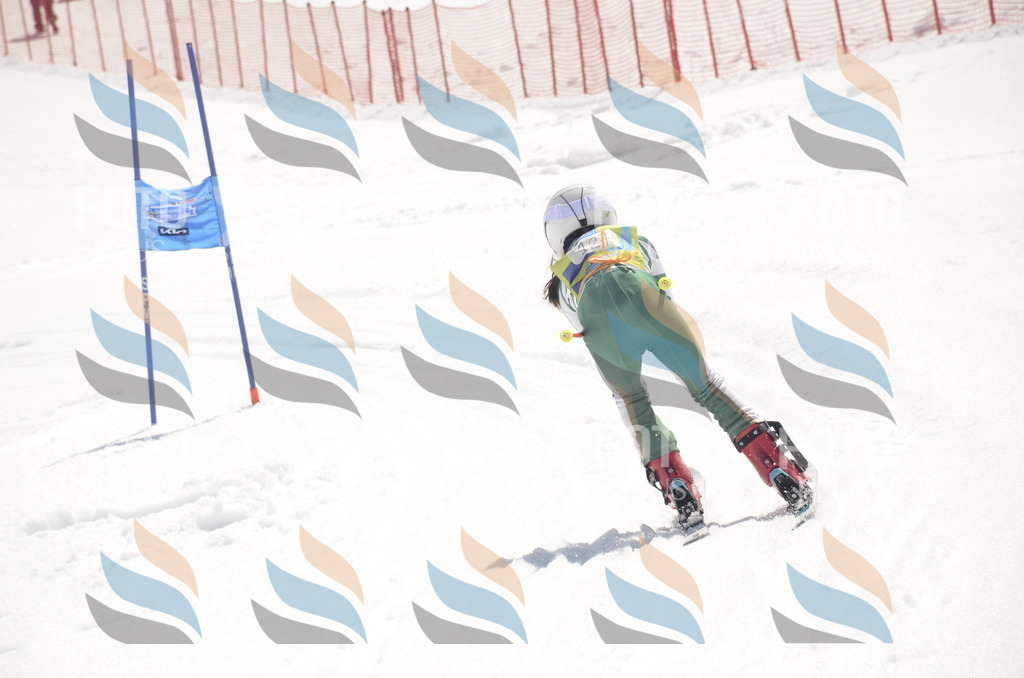 _ELE9624 | holidayphoto