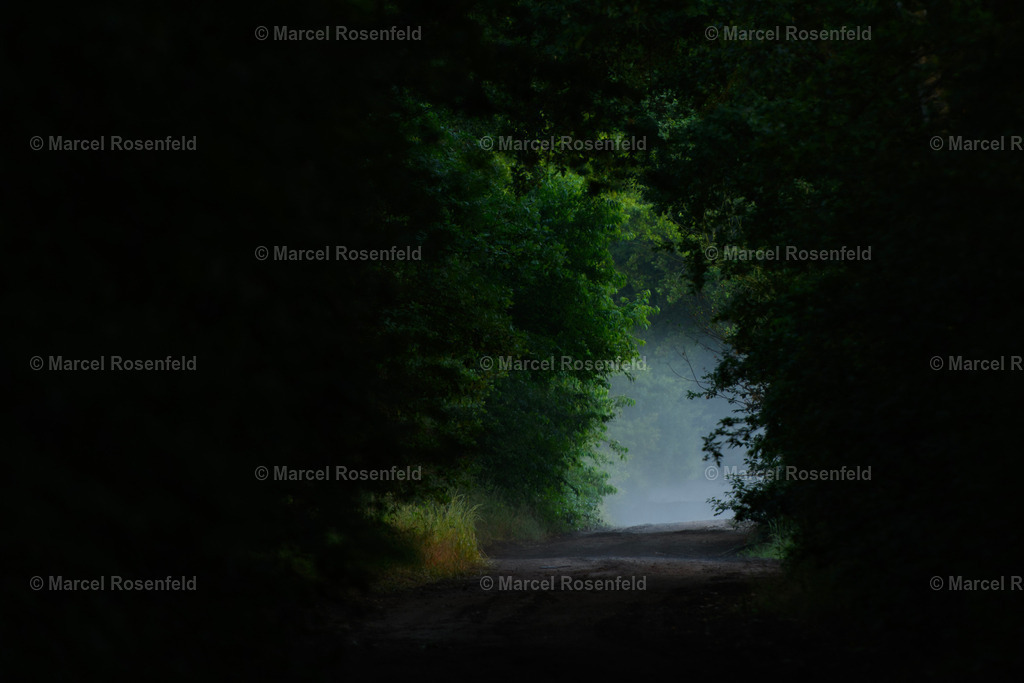 _DSC2735 (1) | foto-rosenfeld