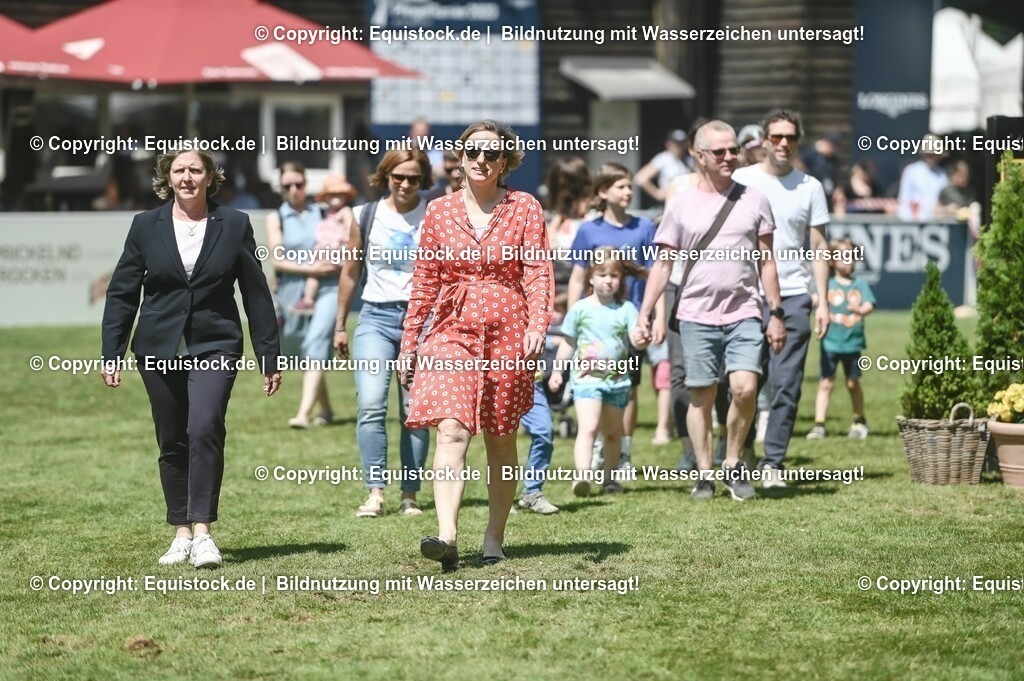 D78_3582 | equistock