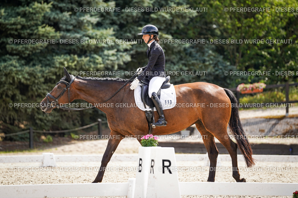 DSC08669 | Pferdegrafie