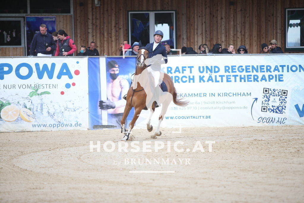 AS8V8001 | Willkommen bei Brunnmayr - Design & Fotografie – Ihrem Spezialisten für Reitturniere und Pferdeveranstaltungen in Oberösterreich, Salzburg und Bayern! Seit über 17 Jahren sind wir leidenschaftlich dabei.