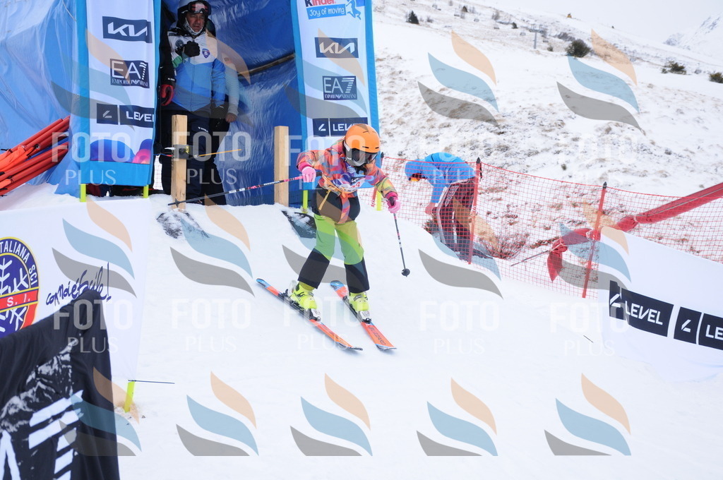 DSC_7718 | holidayphoto