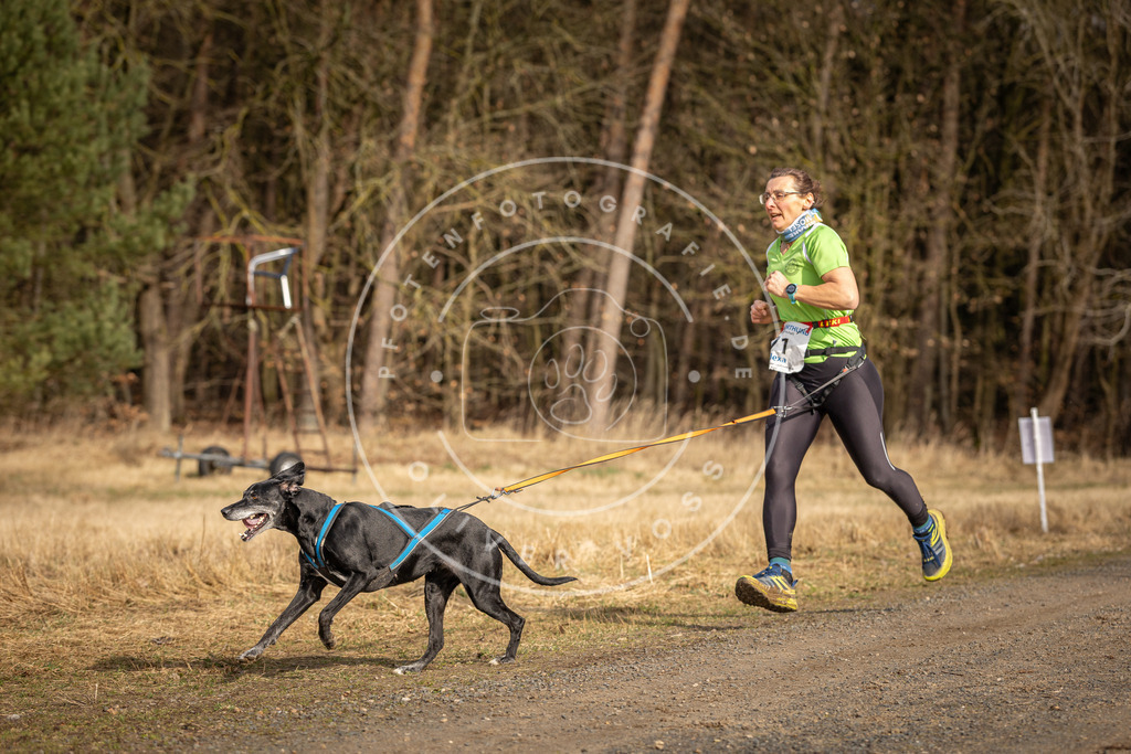DV3A3727 | Hundefotografie, Tierfotograf, Pfotenfotografie, Fotoshooting Hund, Hunde Portrait, Hundesport, Hundeportraits, Heideshooting, Hunde, Sportfotograf, Hundefotograf, Turnierhundsport, THS,  - Realisiert mit Pictrs.com
