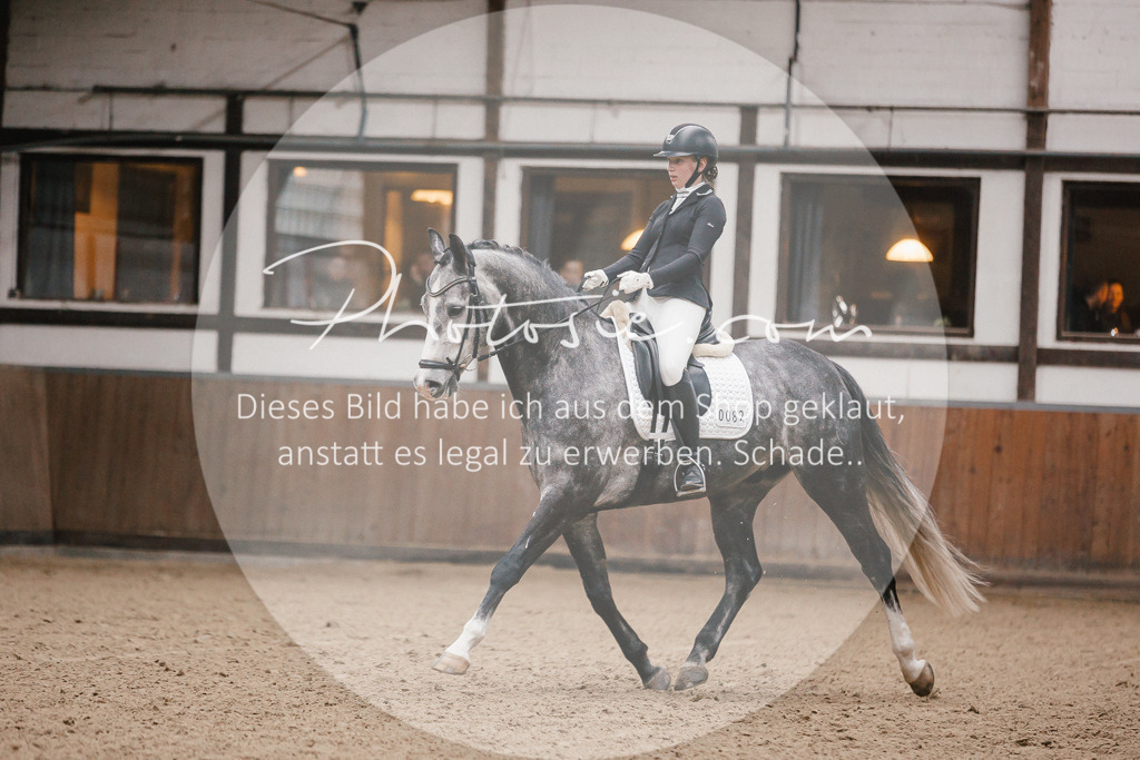3I6A6065 | Stimmungsvolle Portraits und Reitsportfotografie im Ruhrgebiet und im Münsterland.

Pferdefotografie, Hundefotografie, Tierfotografie, Reportagen, Portraits von Tier und Mensch, Turnierfotografie in Bochum, Recklinghausen, Marl, Haltern am See, Dülmen.. - Realisiert mit Pictrs.com