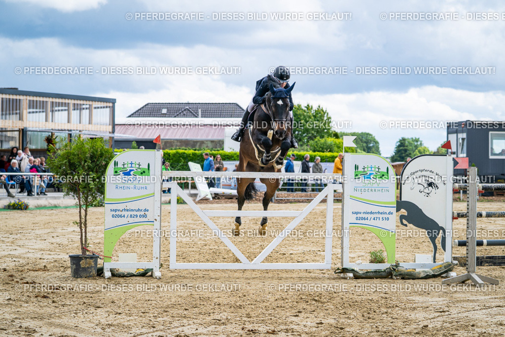 DSC06222 | Pferdegrafie