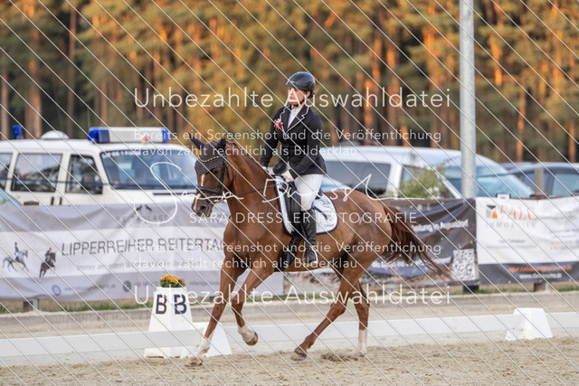 LR261_SD_08262 | saradresslerfotografie - Realisiert mit Pictrs.com