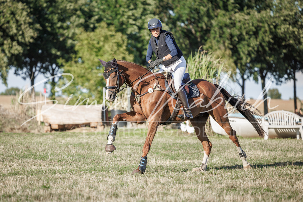 20260905-_3LI1102 | Tierfotografie Pferde, Hunde, Katzen, Haustiere.
Turnierfotografie Reitturniere, Reiten, Springreiten, Dressur in Hanau, dem Main-Kinzig-Kreis und dem Rhein-Main- Gebiet um Frankfurt